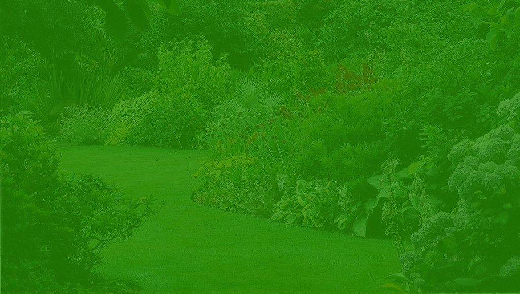 BG2 BG2